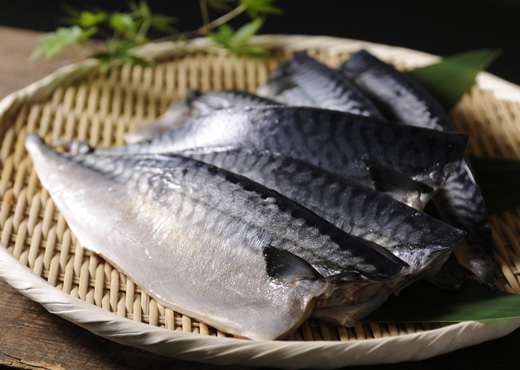 鯖のことなら「焼津冷蔵」